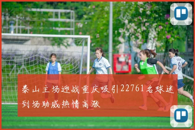 泰山主场迎战重庆吸引22761名球迷到场助威热情高涨